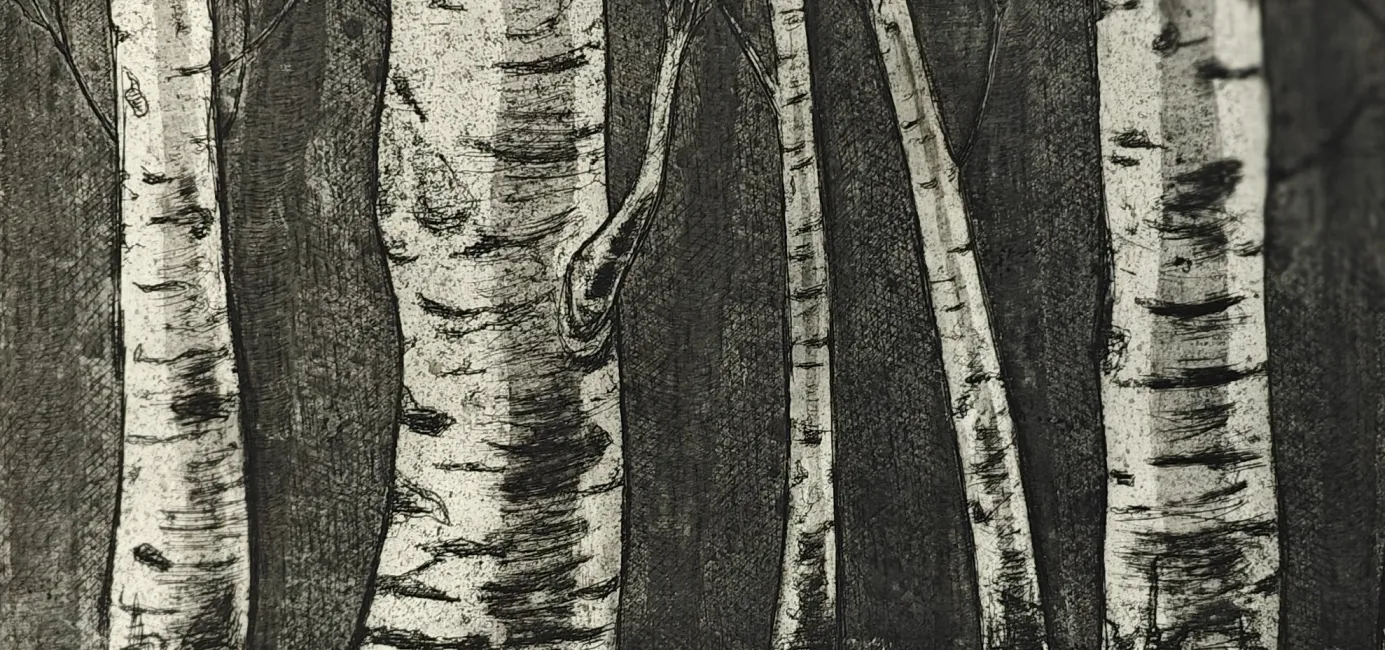 Berken - ets, aquatint