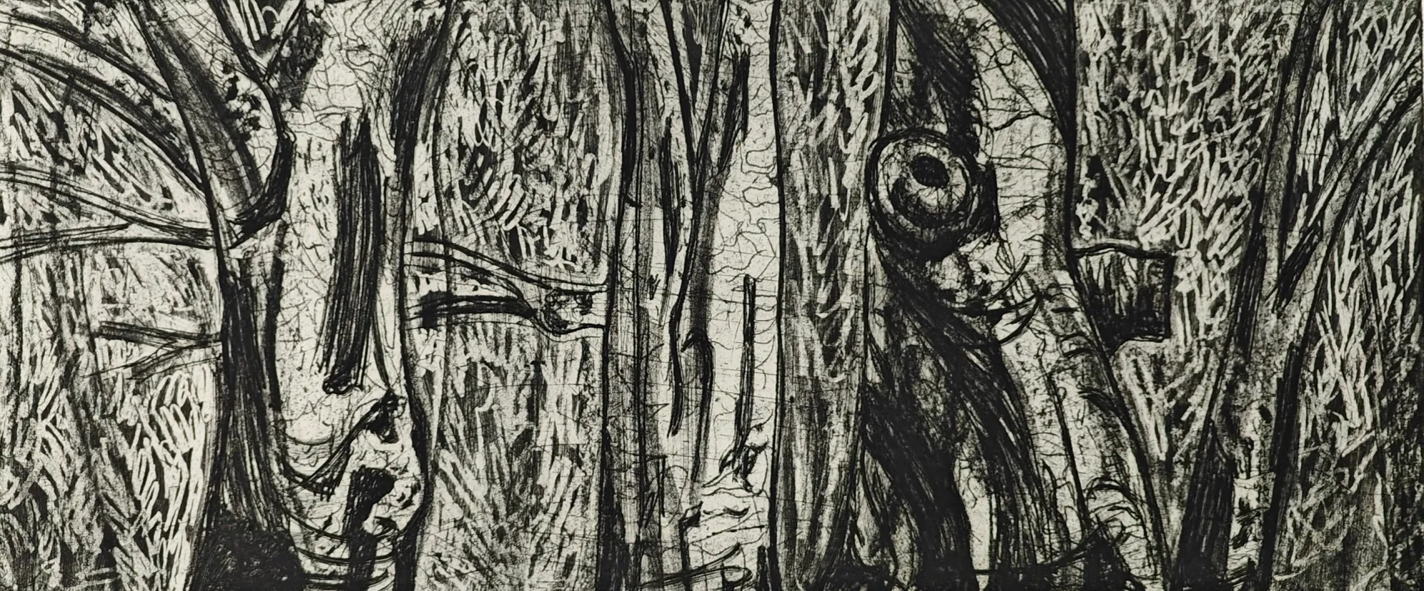 Eucalyptus - ets, vetkrijt