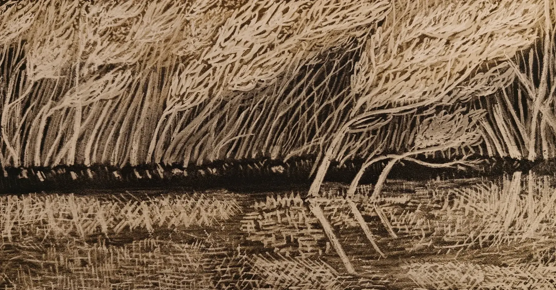 Reflecties bomen - ets