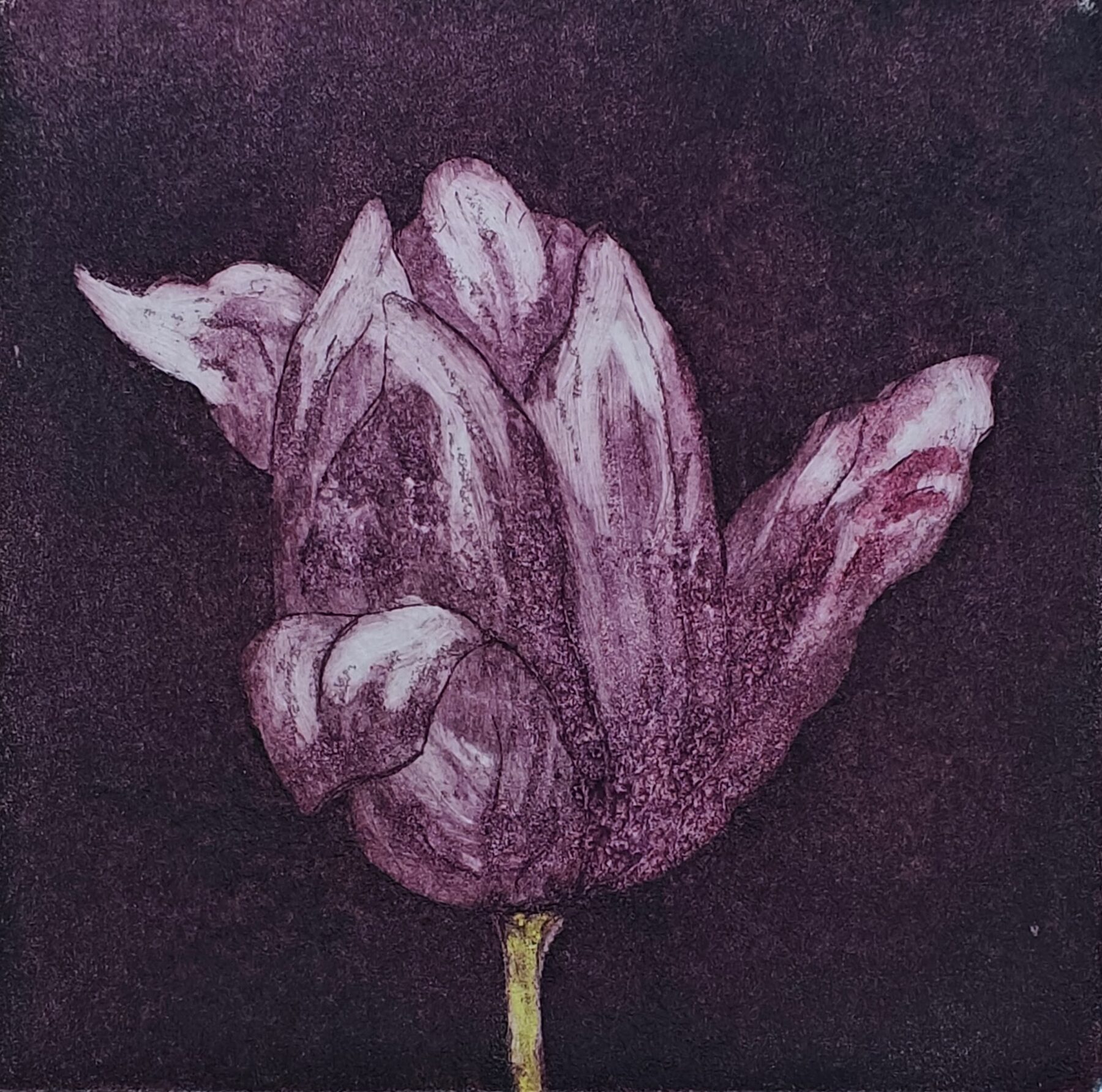 The power of Money 5 - ets, aquatint