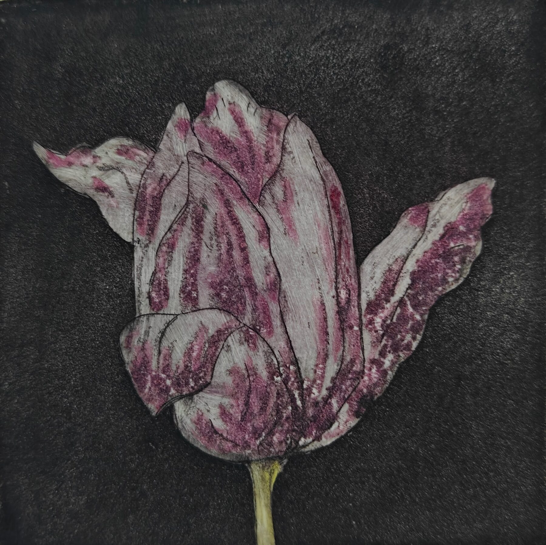 The power of Money 6 - ets, aquatint