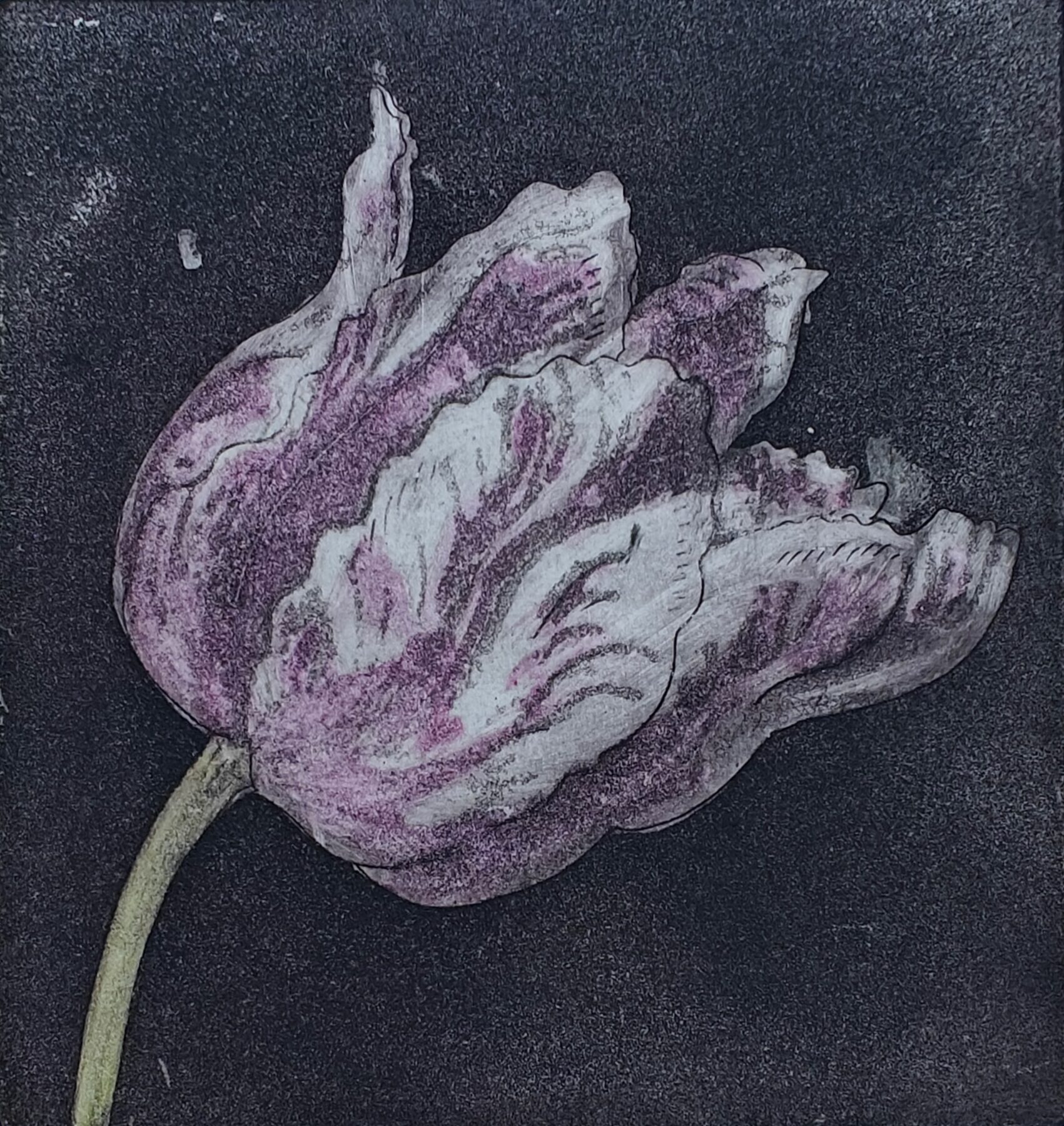 The power of Money 7 - ets, aquatint